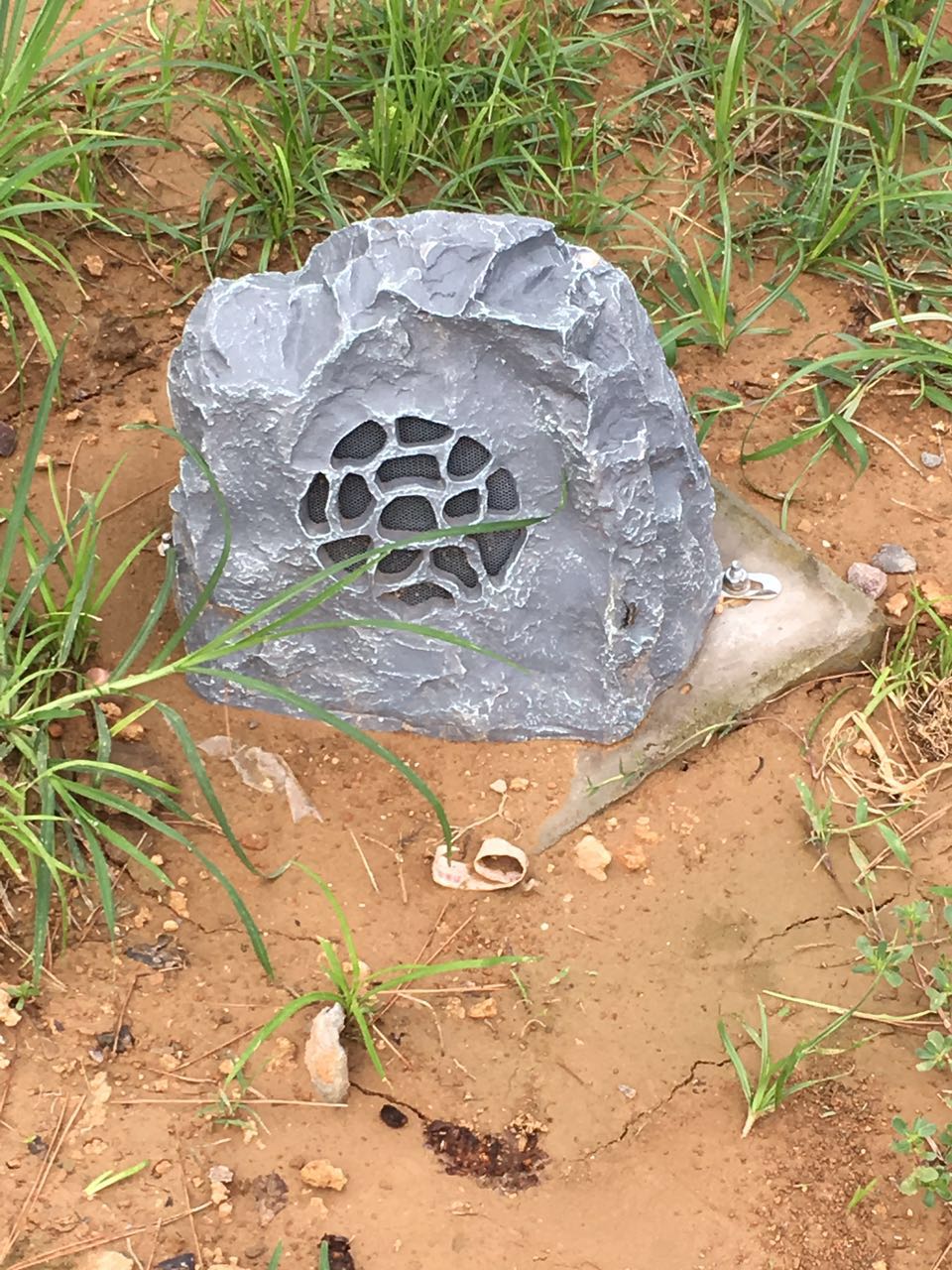 z6com尊龙·(中国官方)集团有限公司官网